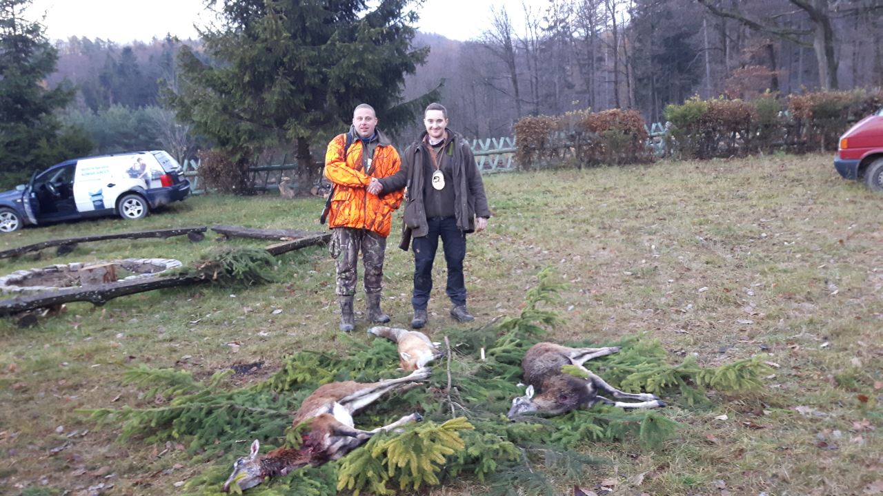 Polowanie zbiorowe 26 listopada 2017 r.